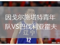 因戈尔施塔特青年队VS巴伐利亚霍夫