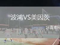 波鸿VS美因茨