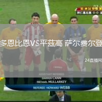 多恩比恩VS平茲高 萨尔费尔登