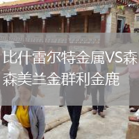 比什雷尔特金属VS森美兰金群利金鹿