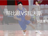 蒂比兹VS瓦夫斯