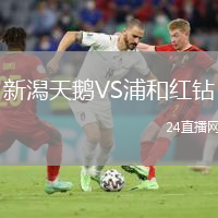 新潟天鹅VS浦和红钻