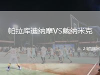 帕拉库迪纳摩VS戴纳米克