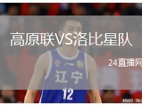 高原联VS洛比星队