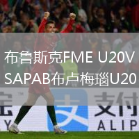 布鲁斯克FME U20VSAPAB布卢梅瑙U20