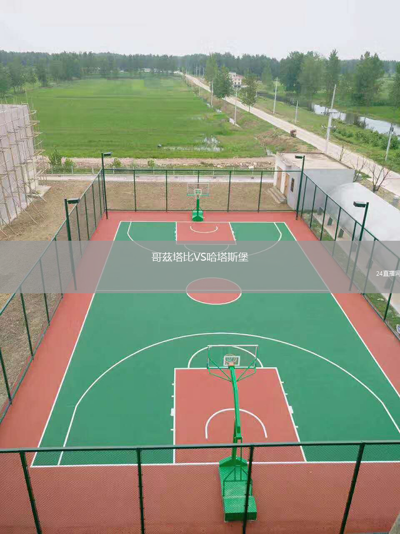 哥茲塔比VS哈塔斯堡