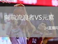 向前流浪者VS元素