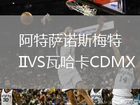 阿特萨诺斯梅特IIVS瓦哈卡CDMX