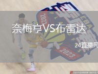 奈梅亨VS布雷达