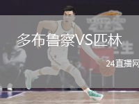 多布鲁察VS匹林