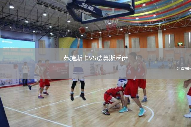 苏捷斯卡VS法莫斯沃伊