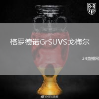 格罗德诺GrSUVS戈梅尔