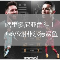 喀里多尼亚角斗士VS谢菲尔德鲨鱼