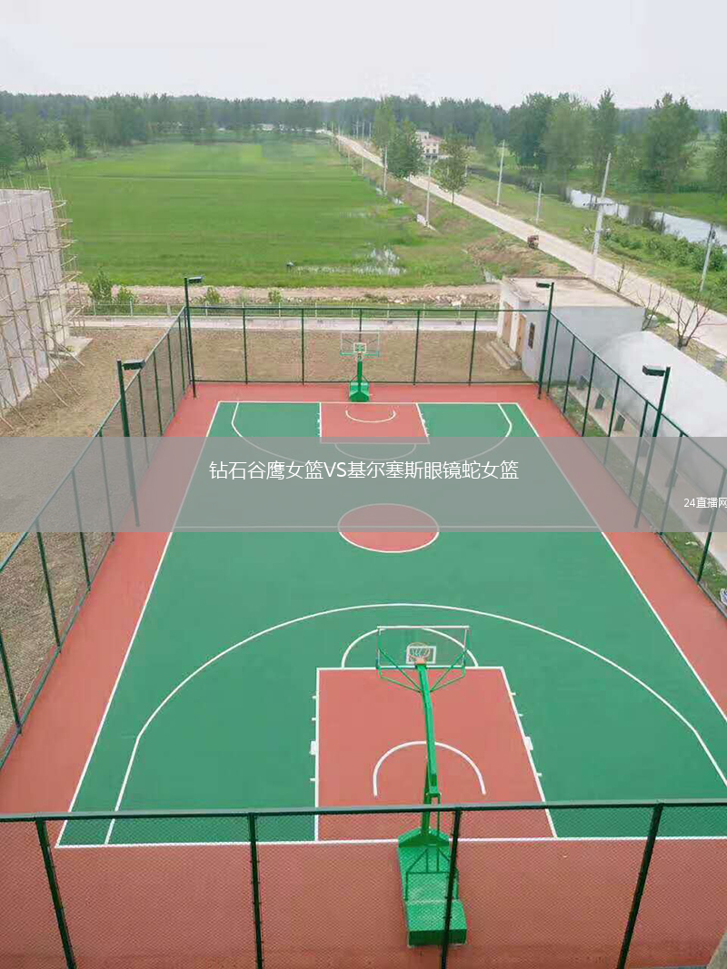 钻石谷鹰女篮VS基尔塞斯眼镜蛇女篮