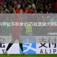科罗拉多跃泉VS匹兹堡猎犬河队