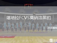 堪培拉FCVS莫纳洛黑豹