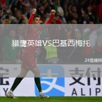 猎鹰英雄VS巴基西梅托