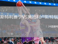 斯特利费宁VS奥地利卢斯特瑙
