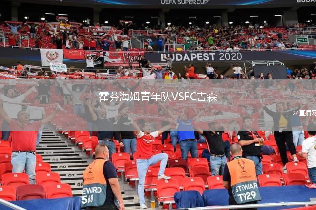 霍芬海姆青年队VSFC吉森