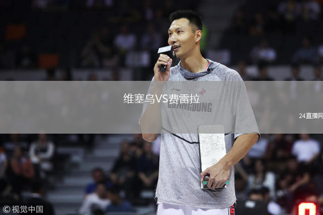 维塞乌VS费雷拉