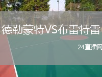 德勒蒙特VS布雷特雷