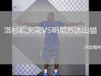 洛杉矶火花VS明尼苏达山猫