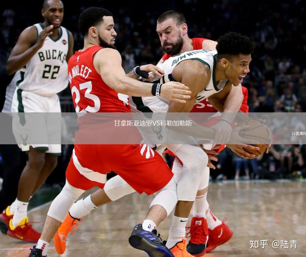 甘拿斯亚迪罗VS科勒加勒斯