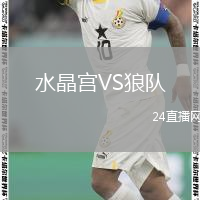 水晶宫VS狼队
