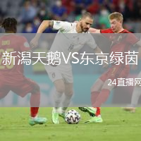 新潟天鹅VS东京绿茵