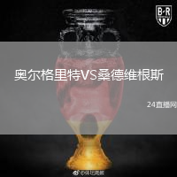 奥尔格里特VS桑德维根斯