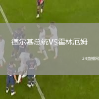 德尔基总统VS霍林厄姆
