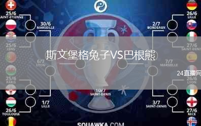 斯文堡格兔子VS巴根熊