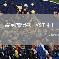 盖特罗斯苏利亚VS角斗士