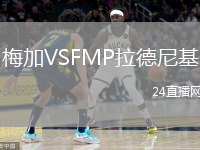 梅加VSFMP拉德尼基