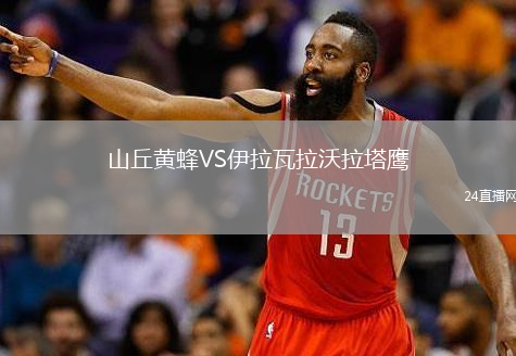 山丘黄蜂VS伊拉瓦拉沃拉塔鹰
