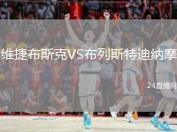 维捷布斯克VS布列斯特迪纳摩