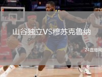 山谷独立VS穆苏克鲁纳