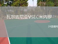 瓦尔吉尼亚VSEC米内罗