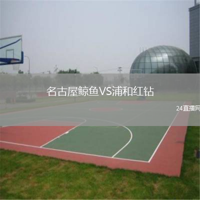 名古屋鲸鱼VS浦和红钻