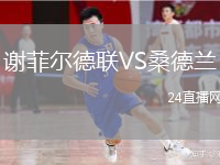 谢菲尔德联VS桑德兰