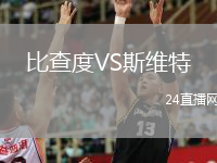 比查度VS斯维特