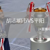 胡志明市VS平阳