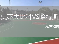 史蒂夫比科VS哈特斯