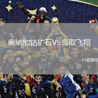 奥纳加钴矿石VS鸟取飞翔