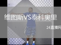维图斯VS泰科奥里