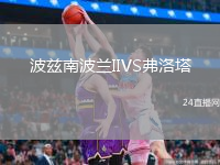 波兹南波兰IIVS弗洛塔