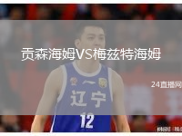 贡森海姆VS梅兹特海姆