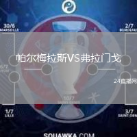 帕尔梅拉斯VS弗拉门戈