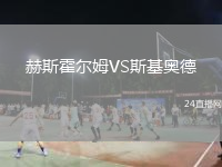 赫斯霍尔姆VS斯基奥德