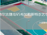 特尔古捷乌VS布加勒斯特农艺学